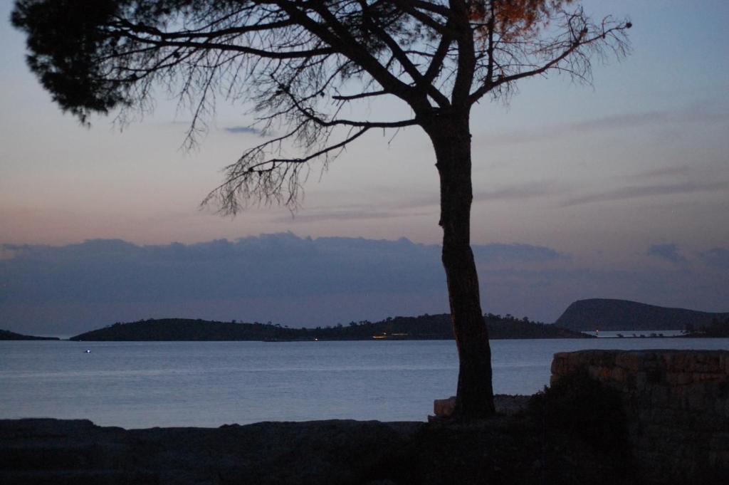 Villa Dedem Hotel Foça Eksteriør bilde